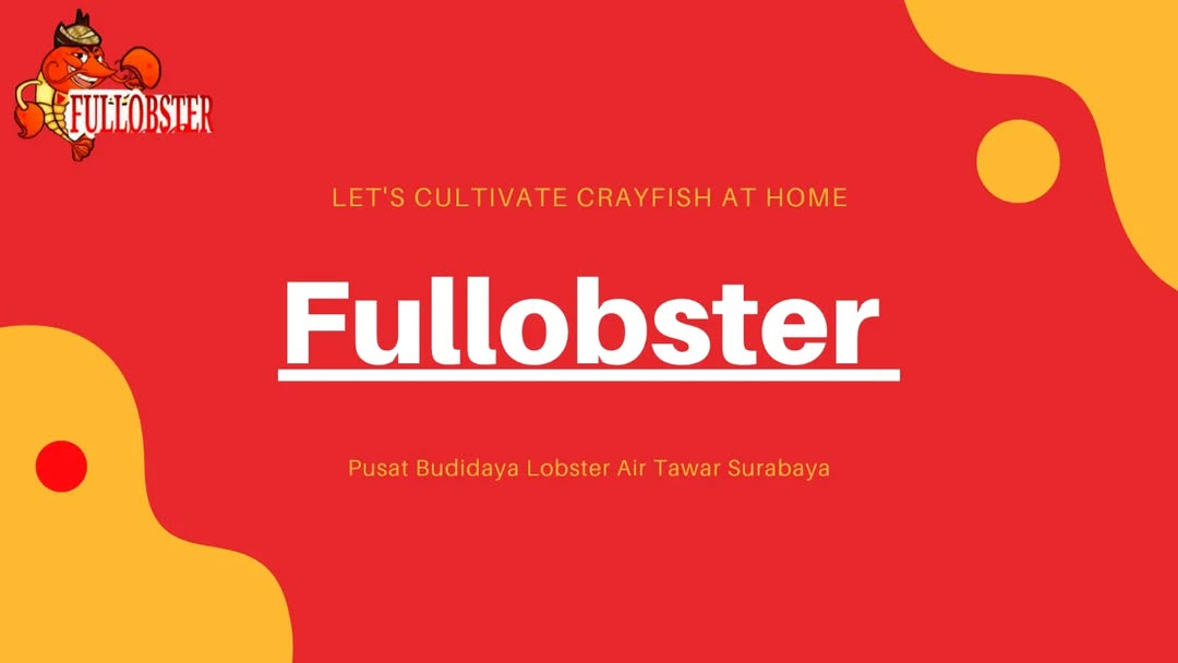 Fullobster About Us