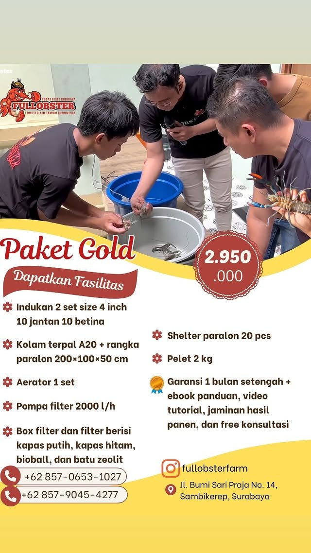 Paket Gold