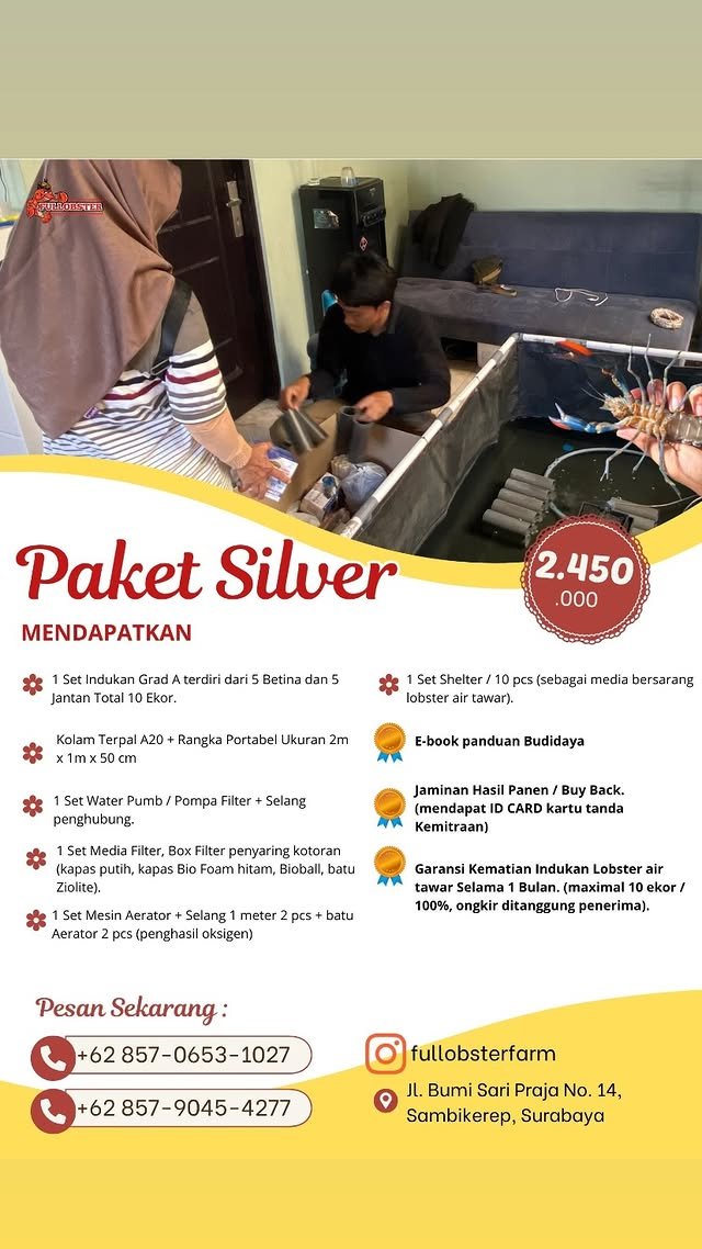 Paket Silver